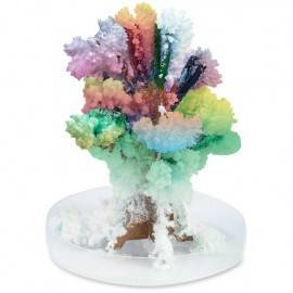 HORRIBLE SCIENCE: CRISTALE CIUDATE