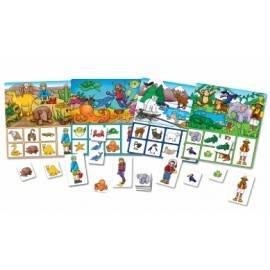 JOC EDUCATIV LOTO HABITATE WHERE DO I LIVE?