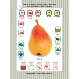 SCRIE ȘI ȘTERGE JUNIOR - LEGUME ȘI FRUCTE