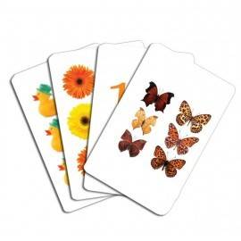 EDUCARD JUNIOR - CIFRELE