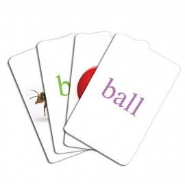 EDUCARD JUNIOR PLUS - LIMBA ENGLEZĂ