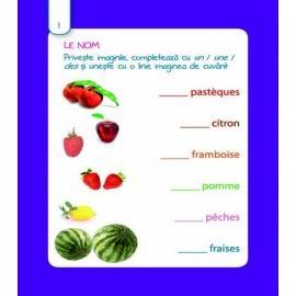 SCRIE ȘI ȘTERGE LINGUO - LIMBA FRANCEZĂ NIVEL 1