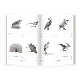 INSECTE ȘI PĂSĂRI, ACTIVITĂȚI DE CITIRE - MONTESSORI