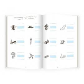 ÎN GRĂDINĂ, ACTIVITĂȚI DE SCRIERE - MONTESSORI