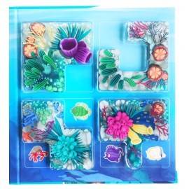 RECIFUL DE CORALI / CORAL REEF