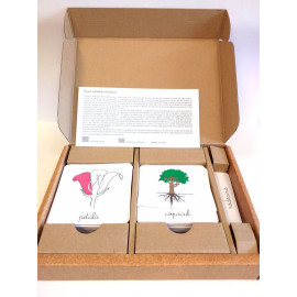 LECȚII DE BOTANICĂ - MONTESSORI