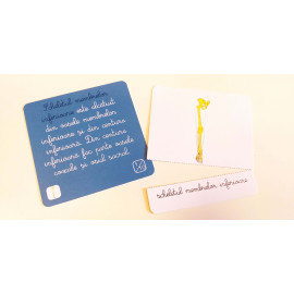 LECȚII DE ANATOMIE - SISTEMUL OSOS - SISTEMUL NERVOS - MONTESSORI