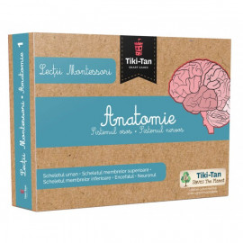 LECȚII DE ANATOMIE - SISTEMUL OSOS - SISTEMUL NERVOS - MONTESSORI
