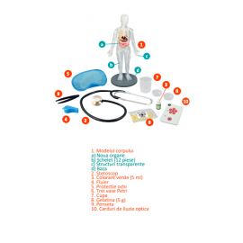 CORPUL UMAN - 12 EXPERIMENTE