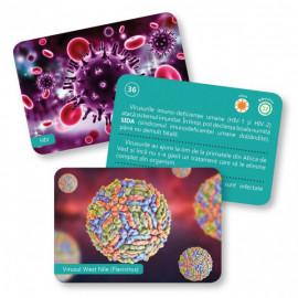 BACTERII ȘI VIRUSURI