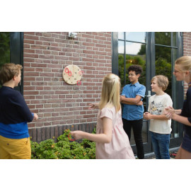 RING BOARD - JOC DE TRAS LA ȚINTĂ