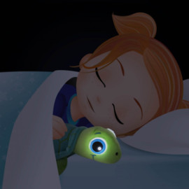 Amici de noapte - Broasca Testoasa