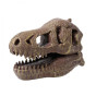 Kit de sapat - Craniu T-Rex