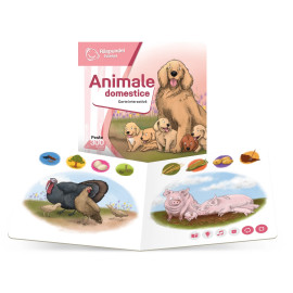 ÎNVĂȚĂM CU POVEȘTI, CARTE ANIMALE DOMESTICE