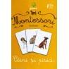 CÂINI ȘI PISICI - VOCABULAR MONTESSORI