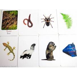 PĂMÂNT, AER, APĂ - CLASIFICARE MONTESSORI